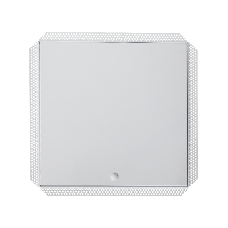 Panel de acceso de acero SS-AP251